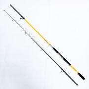Спиннинг SIWEIDA Storm 100-250g 3.0m (2761030)