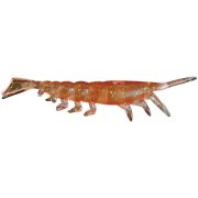 Приманка силиконовая MOEBI WORM II M (25mm) BR (405-842)