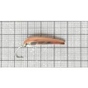 Жук на навагу с Жалом №5 P (30мм) (6гр) (незильбер+спина каро)