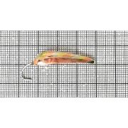 Жук на навагу с Жалом №5 P (30мм) (6гр) (каро+спина незильбер+латунь+каро)